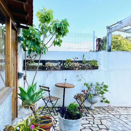Casa di campagna Refugio Do Esquilo Marinha Grande