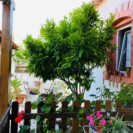 Casa di campagna Refugio Do Esquilo